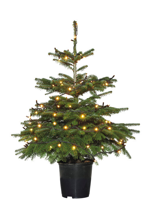 PRO lyskjede med 300 LED-pærer 29,9 meter